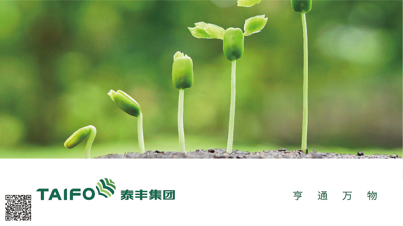 泰豐集團品牌形象策劃設(shè)計